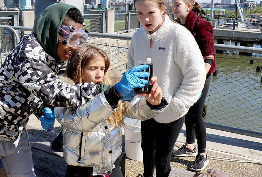 billion oyster project 4 students examining oysters