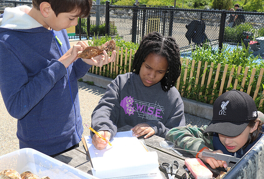 billion oyster project students collecting data