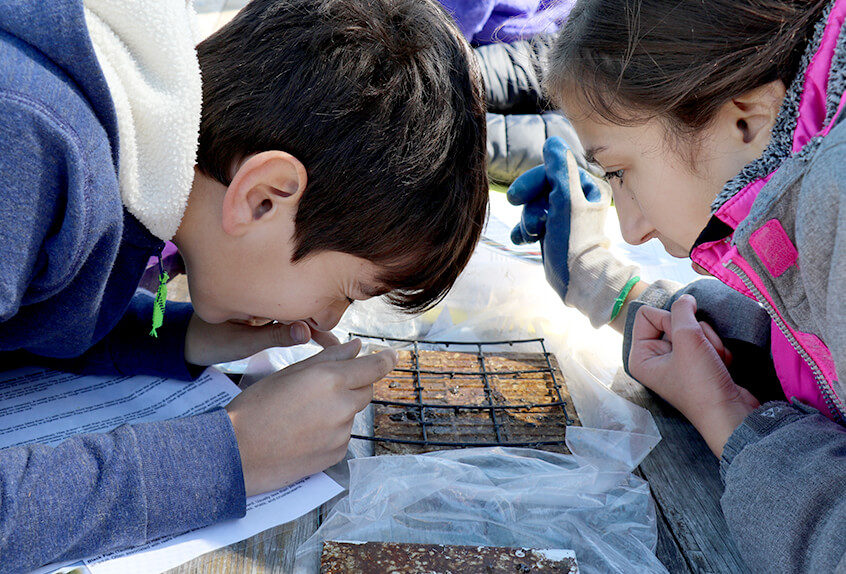 billion oyster project 2 students examining oysters