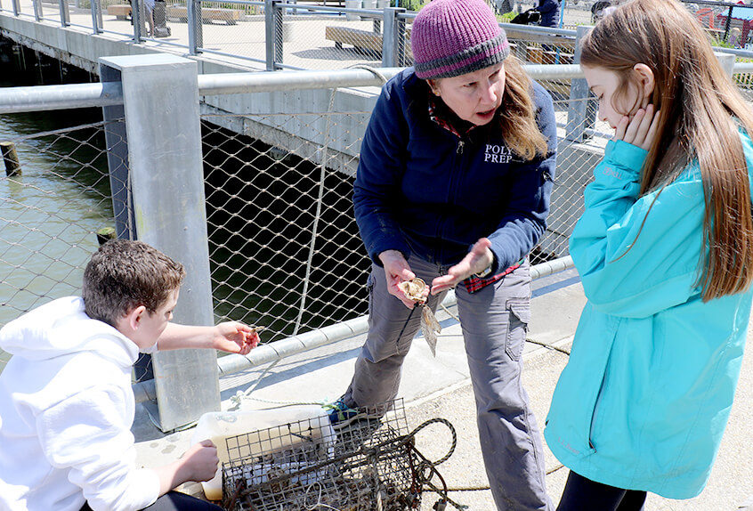 billion oyster project teacher and students examining oysters