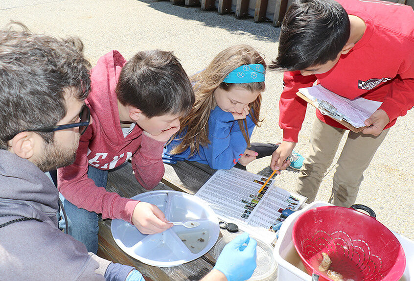 billion oyster project students and teacher recording data