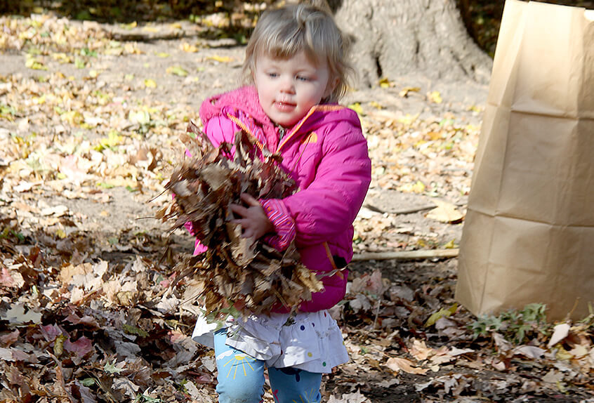 Prospect Park Cleanup