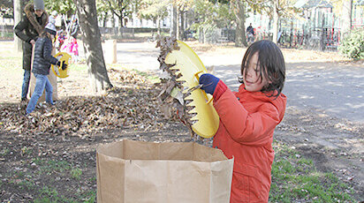 Prospect park clean up project