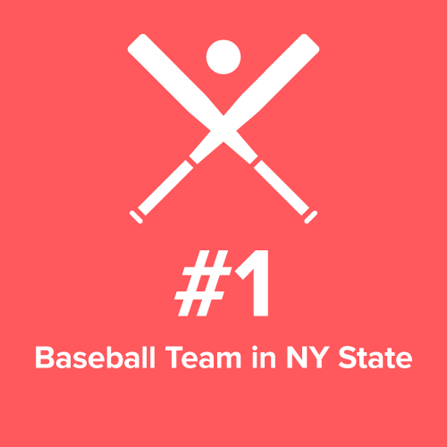 stat baseball team