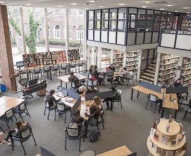 Students in library