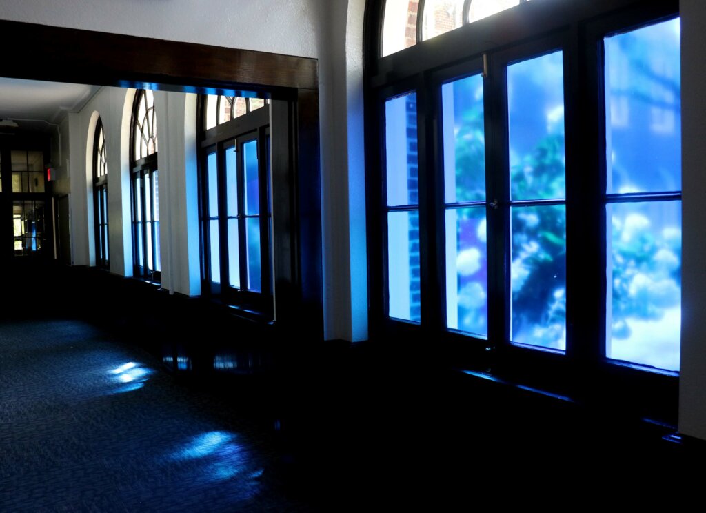 Sarah E. Brook blue hallway