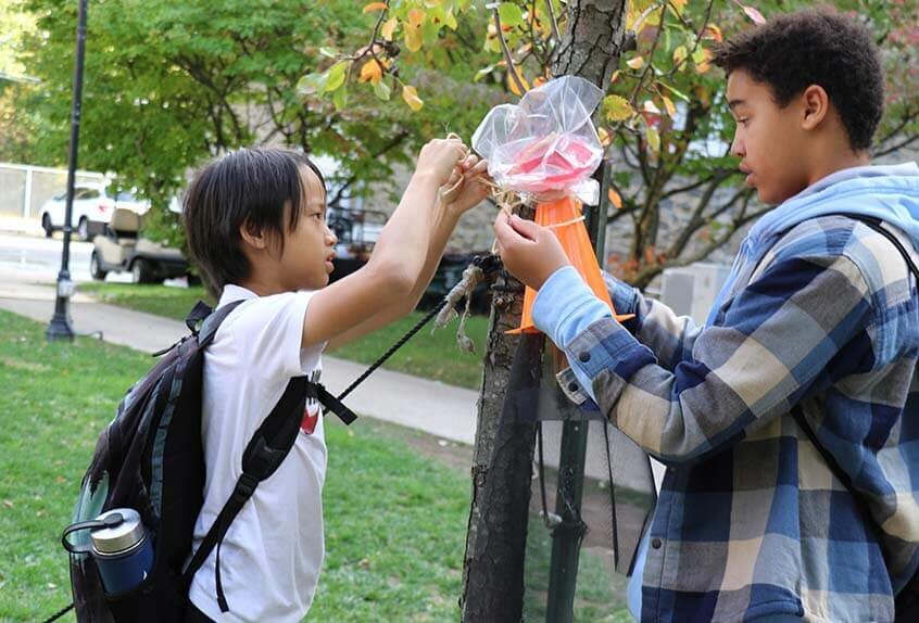 Middle School Clubs Green Devils Lantern Fly Trap