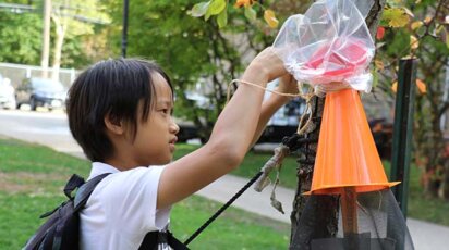 Middle School Clubs Green Devils Lantern Fly Trap