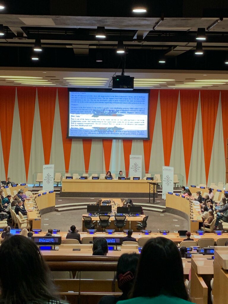 International Day of Women and Girls in Science Assembly at the UN