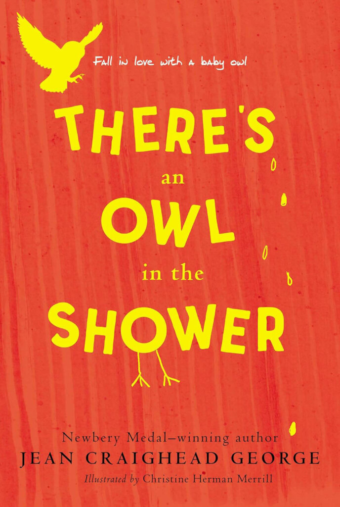 Grade 3 There's an Owl in the Shower book cover