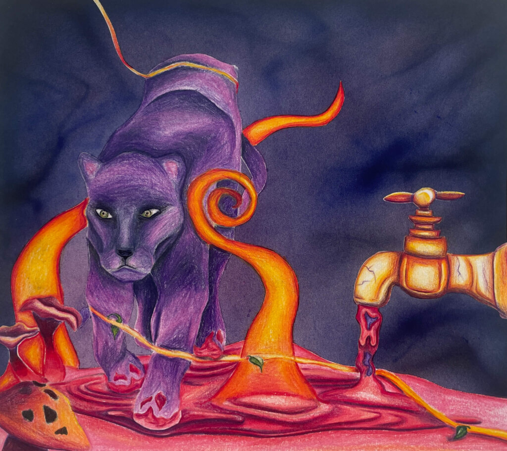 by Ashi Malhotra ’25