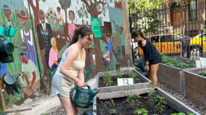 Summer SLT at Harlem Grown